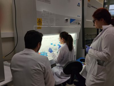 Lab_Image_5